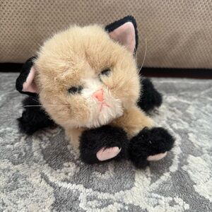 Vintage Kitty Kitty Kitten